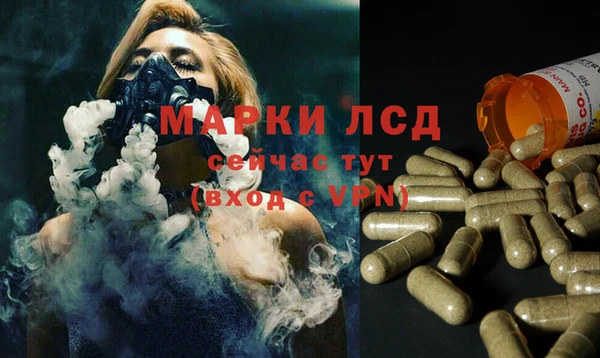 спиды Алексеевка