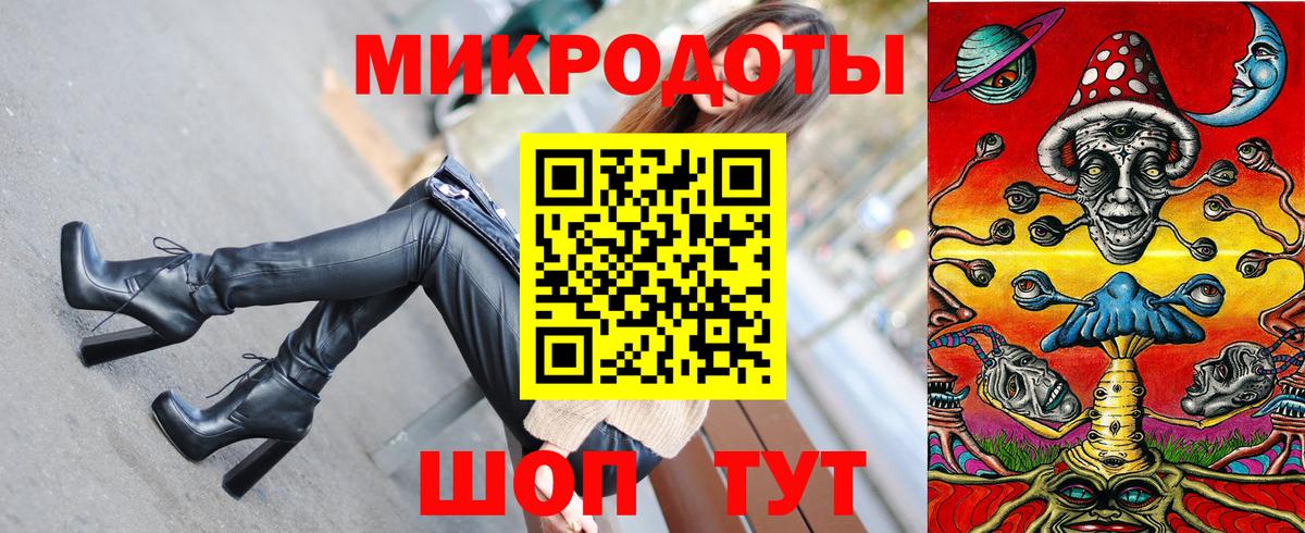 Псилоцибиновые грибы Psilocybe Коряжма