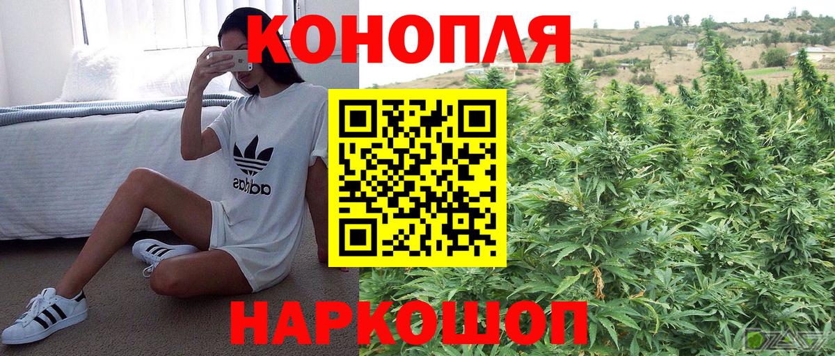 Коряжма  Канабис план  Канабис MAZAR  Бошки Шишки MAZAR  Вход с VPN  МАРИХУАНА ГИДРОПОН 